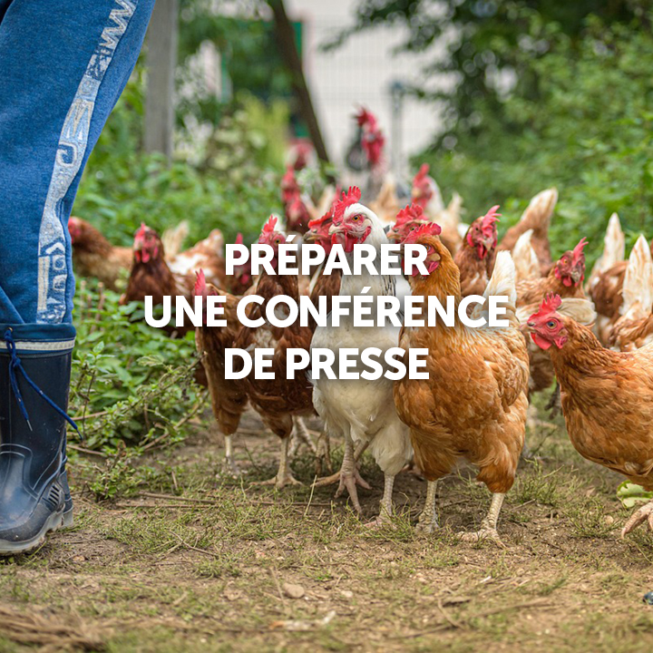 #DOSSIERDEPRESSE #RELATIONSMEDIAS #EVENEMENT #2024