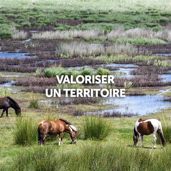 #MARKETINGTERRITORIAL #TOURISME #ATTRACTIVITE #2025